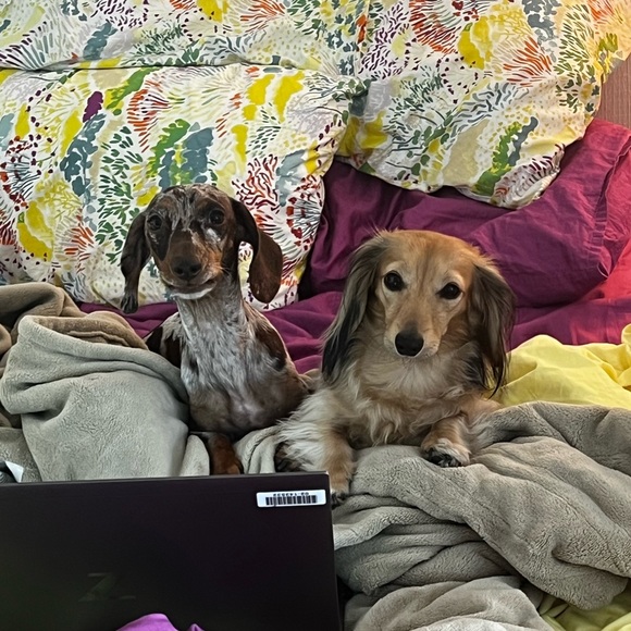 Meet your Posher, Dani - Picture 3 of 4